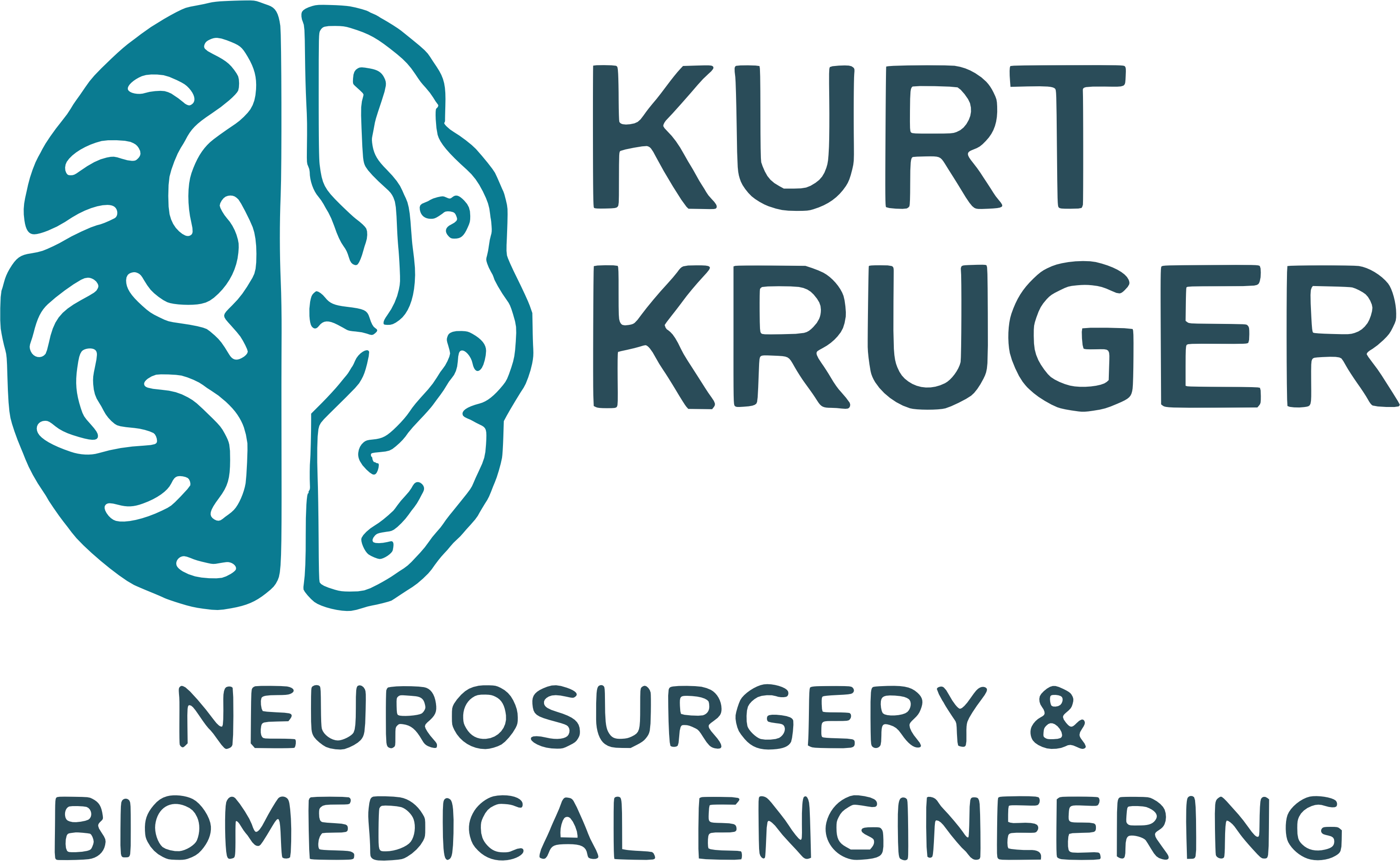 Logo NeuroKruger